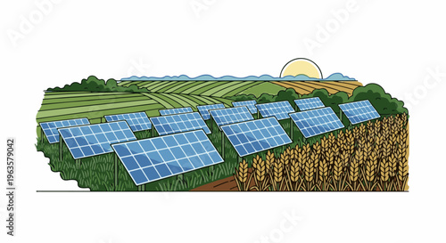 Sunny field with solar panels and crops under a dawn sky