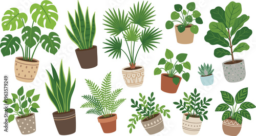 Variety of Indoor Potted Tropical Houseplants Flat Vector Illustration Set with Green Foliage for Home Decor, Gardening, Botanical, and Interior Design Projects