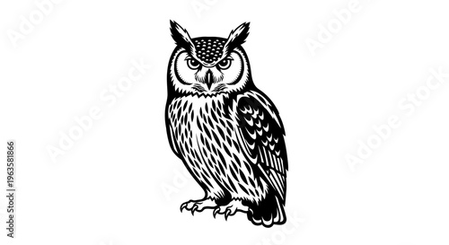High Contrast Black and White Owl Full Body Pose Vector Illustration