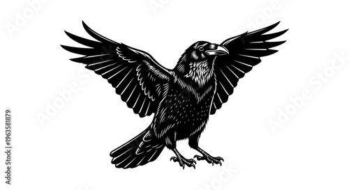 High Contrast Black and White Raven Full Body Silhouette Vector Illustration