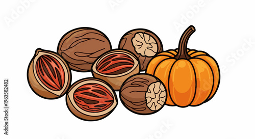 A collection of nutmeg and a pumpkin on a white background