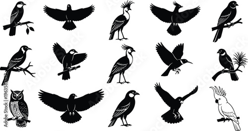 Black silhouette bird illustrations with diverse species and poses, perched and flying designs, cockatoo detail, minimalist vector graphics for wildlife, nature, and decorative projects