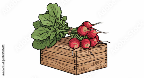 Red radishes with green tops tied with twine, resting on a wooden crate