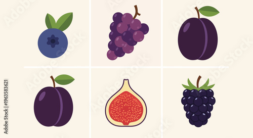 Assorted Purple Fruits Collection: Blueberry, Grapes, Plums, Fig, Blackberry
