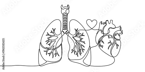 A continuous line drawing depicting the human lungs and heart connected by a small heart symbol