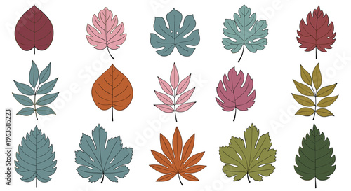 Collection of stylized autumn leaves in various colors and shapes on a white background