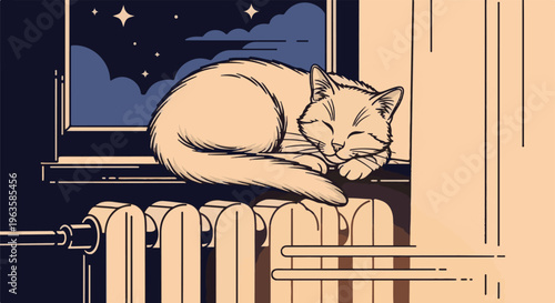 A cozy cat sleeps on a radiator by a window at night