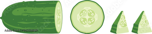 Cucumber vegetable vector set. Fresh green cucumber with slices and wedges. Organic food illustration for healthy diet, cooking ingredient and farm produce design.