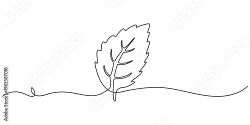 Continuous one line drawing of mint. Modern style vector illustration on isolated background, Mint, spearmint vector illustration.Background for label design. One continuous line art drawing.