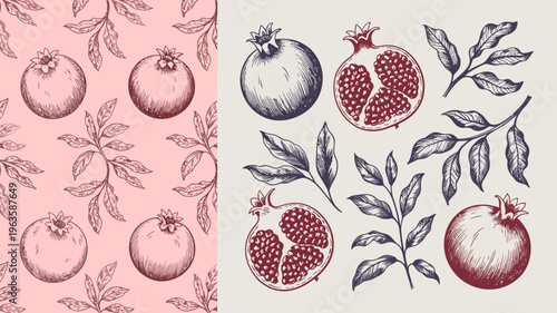 A vintage style pattern showcases detailed illustrations of pomegranates both whole and sliced interspersed with delicate leafy branches high quality professional modern elegant stylish clean crisp