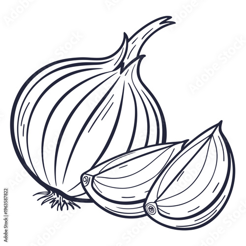 egyptian onion vector