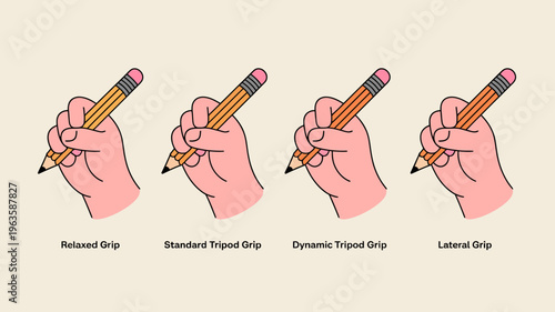 Illustration depicts four different hand positions for holding a pencil labeled as relaxed standard tripod dynamic tripod and lateral grip high quality professional detailed modern elegant
