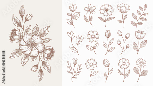 A collection of delicately drawn floral sketches showcases various blooming flowers and budding stems in a vintage style high quality professional detailed modern elegant stylish clean
