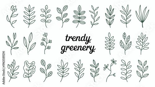 A collection of hand drawn leafy branches and sprigs in varying shapes and sizes accompanied by the word trendy in cursive high quality professional detailed modern
