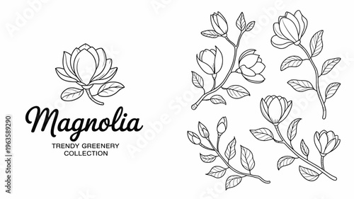 A detailed botanical illustration showcases magnolia flowers and foliage in a black and white line art style accompanied by elegant typography high quality professional modern stylish