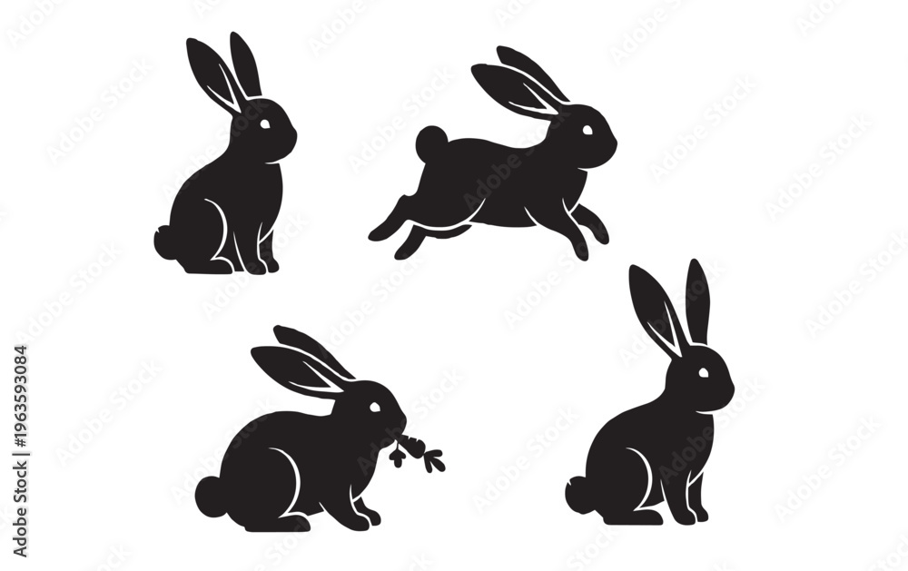 Fototapeta premium Complete Pet Bunny Care from Housing to Health