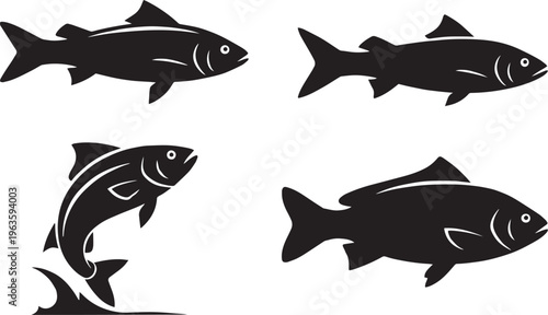 Fish Nutrition Facts: Health Benefits of Omega-3 Rich Seafood in 2026