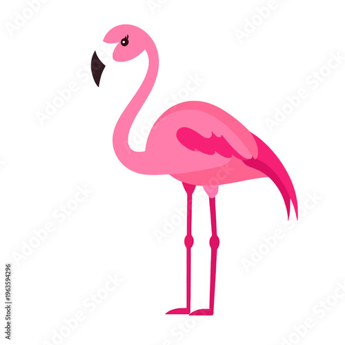 Pink Flamingo Cartoon Vector - Tropical Bird Illustration on White Background, Exotic Wildlife Concept, Cute Animal Design Element, Isolated Graphic for Kids, Party and Decoration 200 char