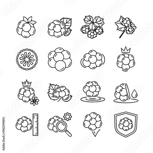 Cloudberry Icons Set Outline Vector IllustrationNiche Details Minimalist Style