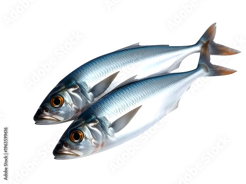 Fish Isolated on Transparent Background
