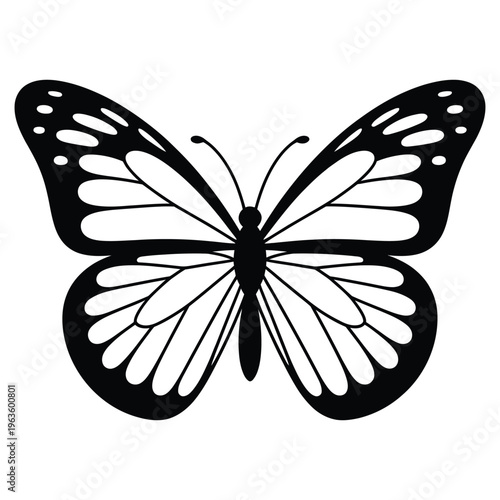 A striking black and white image of a butterfly with ornate wing patterns silhouette