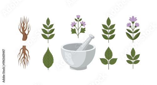 An illustrative flat design concept showcasing herbal medicine, with various plant parts surrounding a mortar and pestle.
