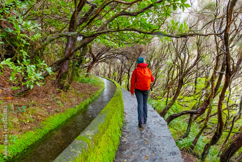 Tourist on Levada do Norte on the Portuguese island of Madeira. Levada irrigation canal. Hiking in Madeira. Narrow path next to the levada. Green mountains and ocean in background.