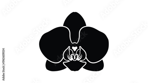 Elegant black orchid flower design a striking botanical silhouette
