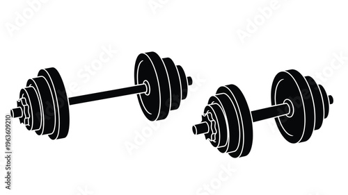 Two black dumbbells displayed against a white background a striking silhouette
