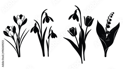 Floral arrangement featuring tulips snowdrops and lily of the valley silhouette