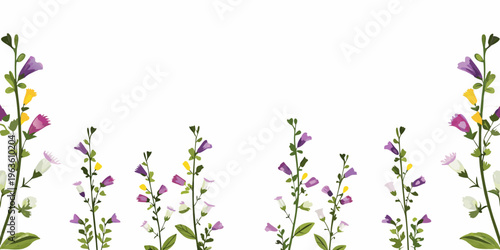 Delicate wildflower stems with colorful blossoms against a white background