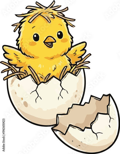 chicken chick