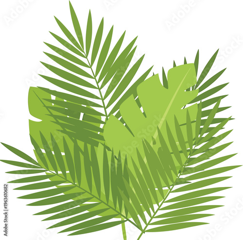 An isolated green palm tree leaf and tropical fern frond create an abstract botanical heart shape of nature foliage against a white background