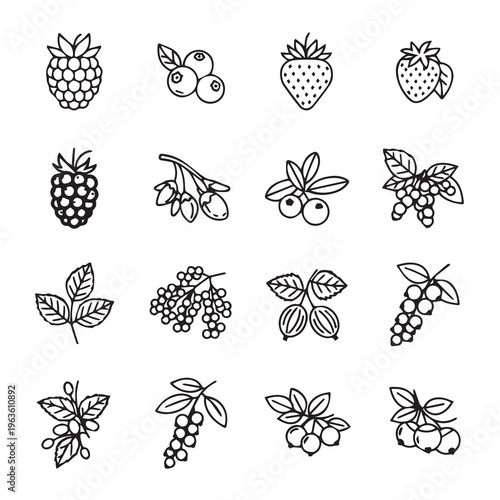 Hand-Drawn Berry Icons: Raspberry Blueberry Strawberry Goji Gooseberry Currant Cranberry Rowan