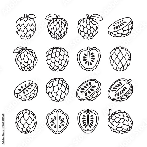 Custard Apples Collection Whole and Halved Line Art Iconography Isolated on White Background