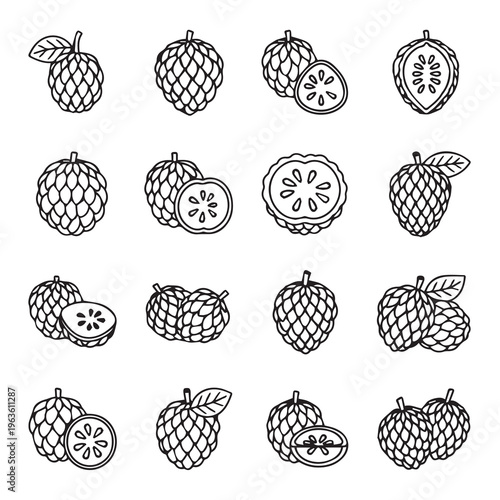 Custard Apples Collection: Whole Halved Sliced and Grouped Illustrations