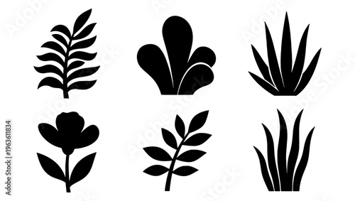 Minimalist botanical silhouette collection, 6 black floral vector elements, tropical leaf and cactus plant icons for modern logo design