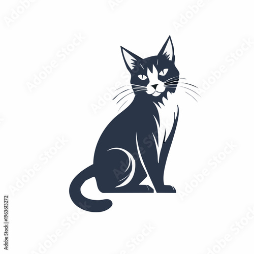 Black and white domestic cat portrait.