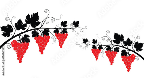 Stylized grape vines with red bunches and dark leaf silhouette