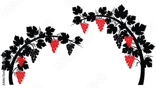 Stylized grape vine with red fruit a striking black silhouette