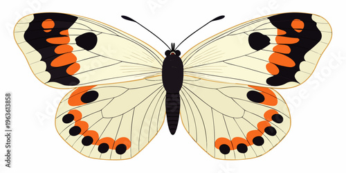 A vibrant illustration of a butterfly with orange and black markings