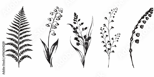 Botanical illustration of various wildflowers and foliage in black ink