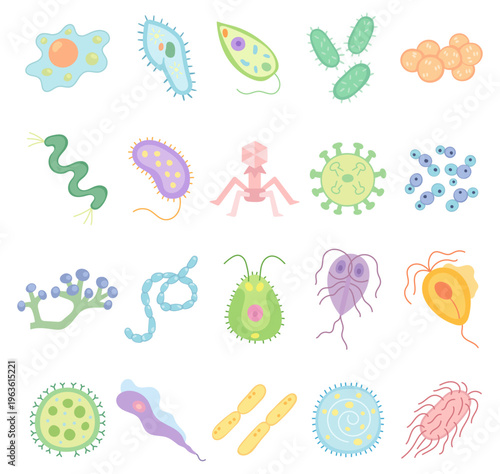 Unicellular microorganism set in scandinavian style featuring amoeba paramecium euglena bacteria virus yeast mold cyanobacteria protist parasite microbe laboratory study