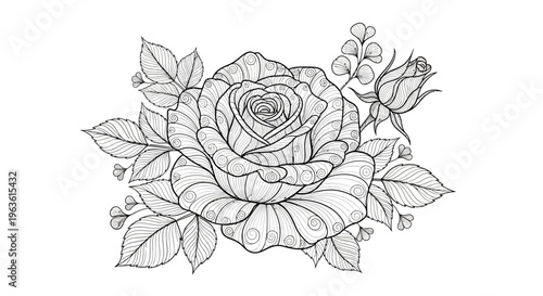 Beautiful Rose Flower Line Art, Detailed Black and White Botanical Illustration with Leaves and Bud for Coloring Book Design