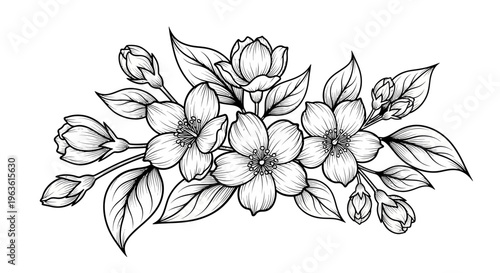 Elegant black and white line art illustration of a floral arrangement with blooming jasmine flowers, buds, and leaves