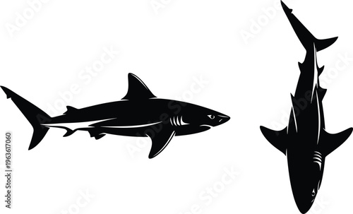 Vector illustration of two shark silhouettes in black and white, showing side profile and top-down views, sleek marine predator design for ocean wildlife themes