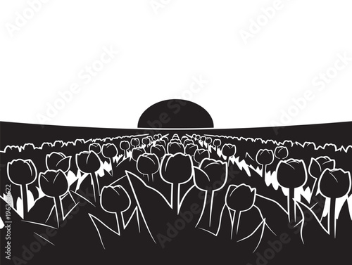 Beautiful tulip field sunset silhouette with dramatic golden hour glow