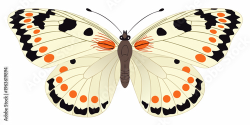 A vibrant illustration of a butterfly with patterned wings and orange spots