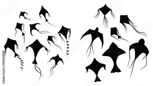 Collection of diverse kite shapes displayed in a striking silhouette