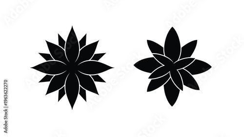 Two floral designs in stark contrast presented as a silhouette
